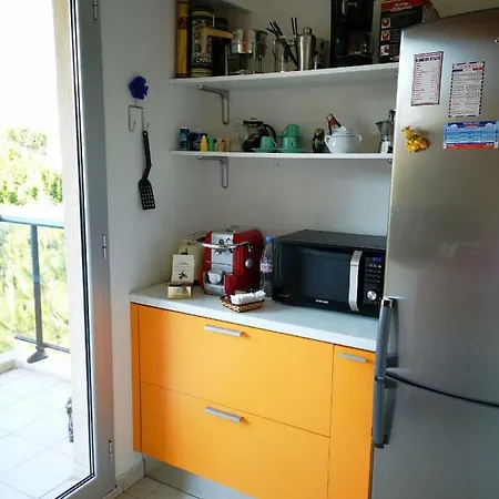 Front Luxury Near Airport Cagnes-sur-Mer